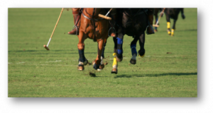 Biotin for Horses Polo Horses running