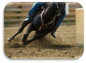 Barrel Horse biotin for horses