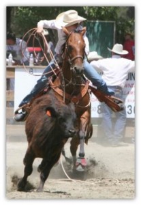 cowboy on horse roping cow