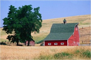 WinterBarnForHorses