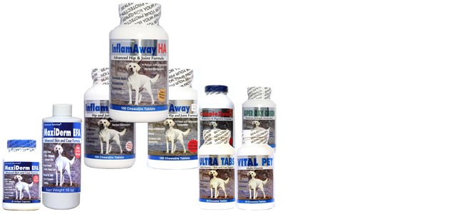 Next Generation Supplements For Your Dog