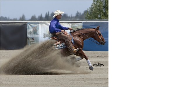 I rely on InflamAway HA-200 to take care of my horses joints… (Pat Wickenheiser – Wickenheiser Training Center)