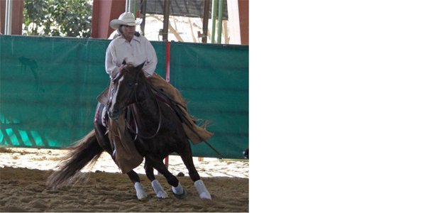 I decided to try RelaxForm EQ and what a difference it made… (Robin Kovaks – NCHA Non-Pro World Champion)