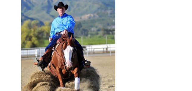 I’ve made InflamAway HA-200 a requirement for all my reining horses… (Tom Foran – World Champion Reiner)