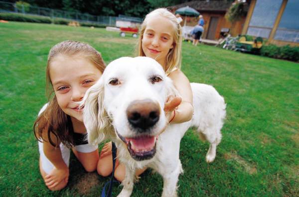 Tips To Keep Your Dog Cool In The Summer | Sweetwater Nutrition