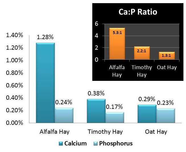 Hay Comparision Chart Calcium Phosphorous levels Best Hay To Feed Your Horse
