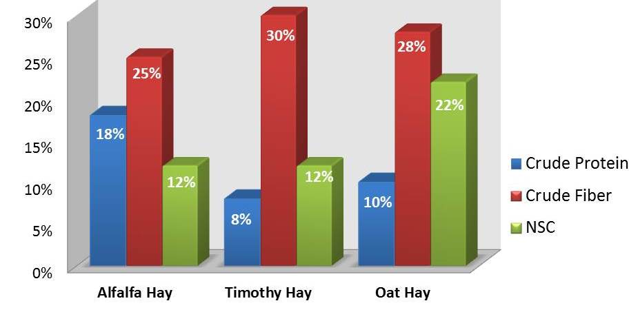 Hay Comparison Chart Best Hay To Feed Your Horse