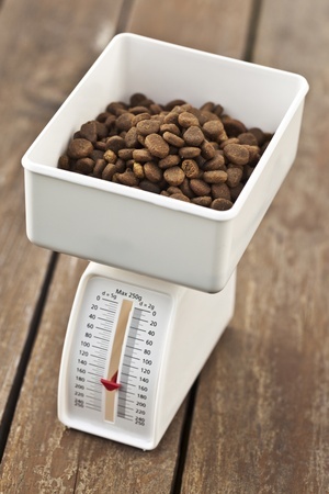 Measuring Dog Food