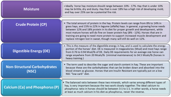 Best Hay To Feed Your Horse terminolgy chart Sweetwater Nutrition