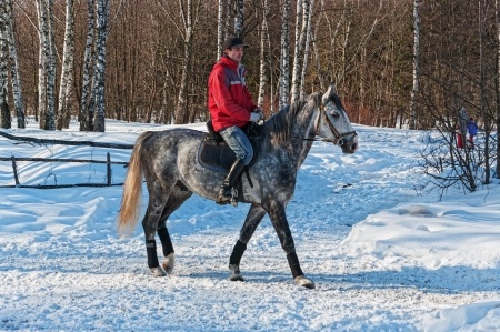 Riding Horse In Winter