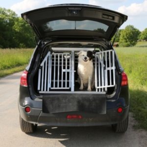 Dog Car Barrier