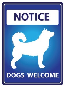 Dogs Welcome