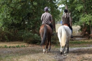 Horseback Riding