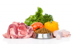 Dog Food Ingredients