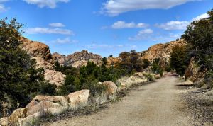 Hiking Trail