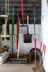 Stall Cleaning