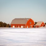 Winter Barn Chores