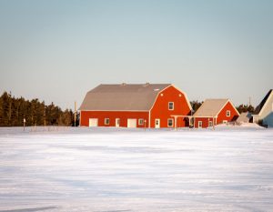 Winter Barn Chores